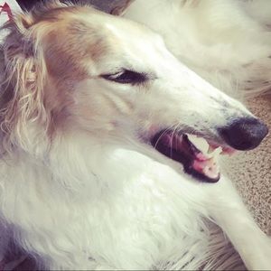 Meet your Posher, Erika